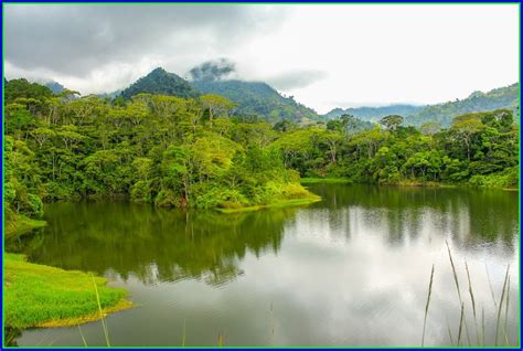 ¡Sumérgete en la Historia y la Naturaleza del Parque Nacional Cerro Azul!