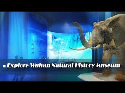 ¡Sumérgete en la Historia y la Naturaleza en el Museo de Wuhai!