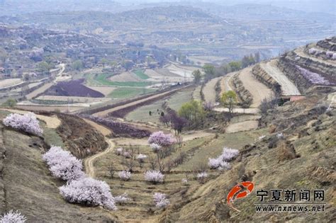 ¡Sumérgete en la Historia y la Naturaleza con el Templo de las Flores en Guyuan!